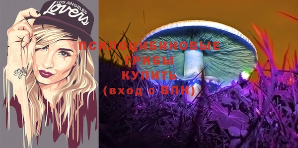 крисы Строитель
