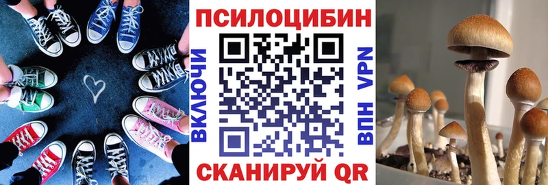 Галлюциногенные грибы мицелий  Инза 